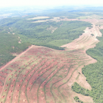 Dono de fazenda próxima a Maracaju é autuado em R$ 50 mil por irregularidades no solo