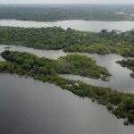 BNDES e Incra vão implantar projeto sobre assentamentos na Amazônia