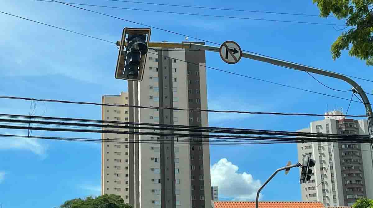 Ave que atingiu rede elétrica causou apagão que deixou região central sem luz em Campo Grande