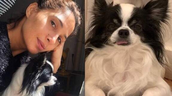 Com cachorro perdido, Camila Pitanga faz apelo nas redes sociais