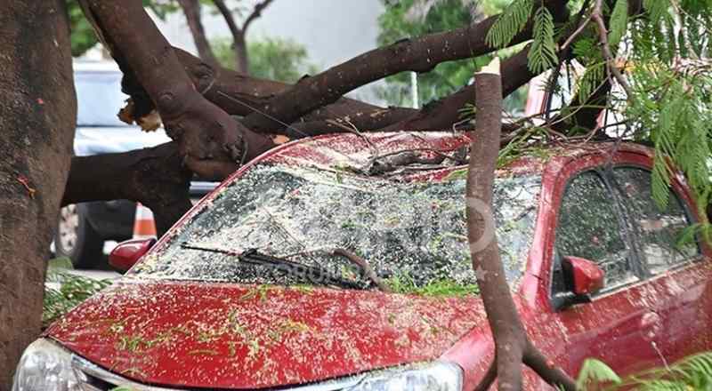 Galhos caíram em cima de carro de uma servidora pública