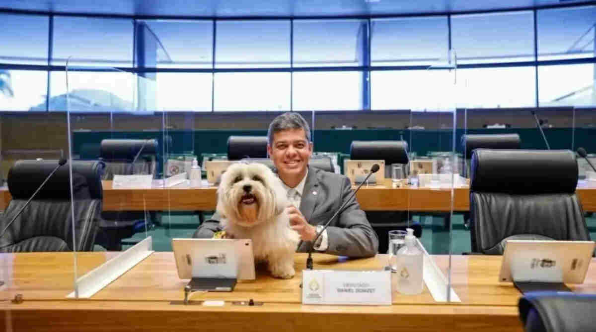 Deputado leva seu cachorrinho à Câmara Legislativa do DF após liberação do acesso de pets no plenário