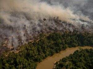 O governo brasileiro trata com desconfiança o interesse de potências estrangeiras na preservação da Amazônia