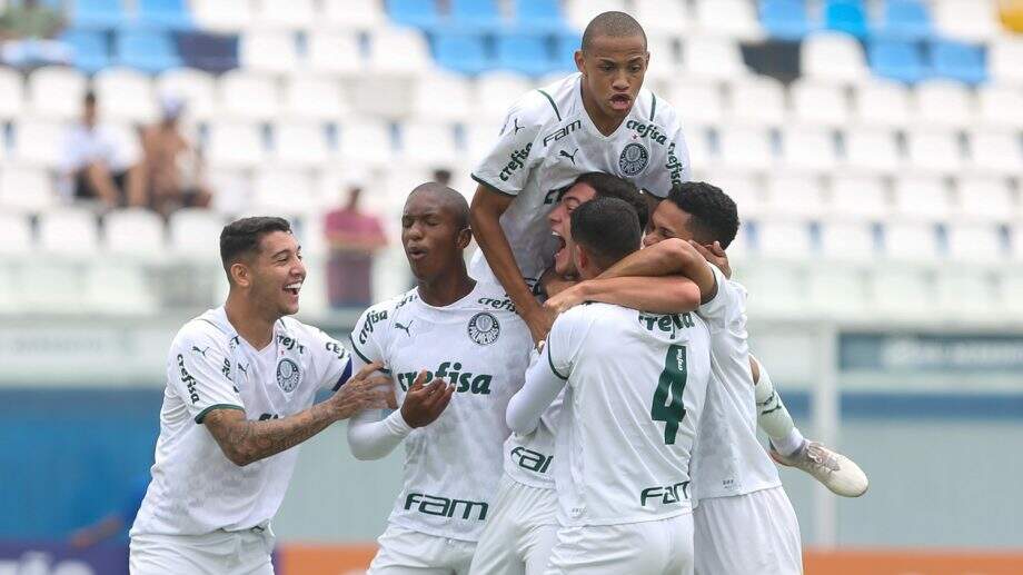 Assessoria/Palmeiras