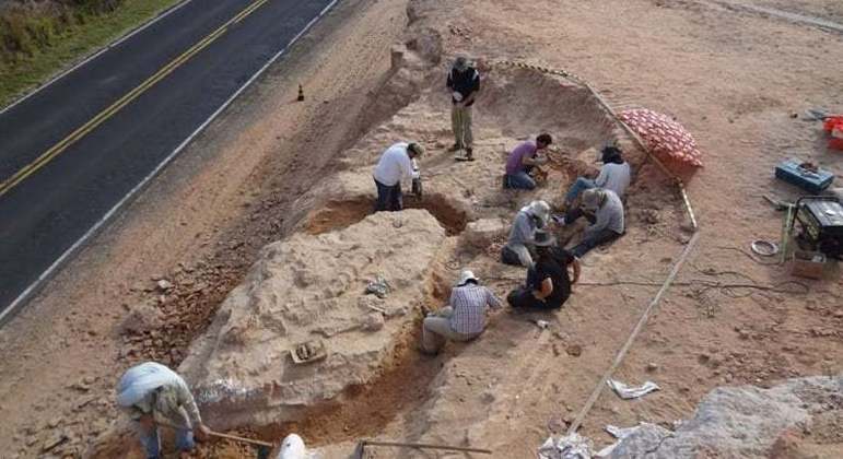 REPRODUÇÃO/ FACEBOOK / MUSEU DE PALEONTOLOGIA MARÍLIA