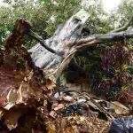 Alerta vermelho: Mato Grosso do Sul tem 63 cidades em perigo e ventos acima de 100 km/h