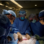 Equipe dos EUA realiza o 2° transplante de rim de porco em humano
