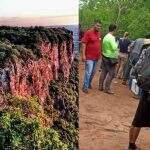 Globo gravou cena secreta da novela Pantanal no Morro do Paxixi; saiba detalhes