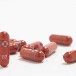 EUA liberam 2ª pílula contra covid-19; remédio da Merck é para uso em casa