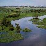 Congresso aprova flexibilizar regras que protegem as margens dos rios