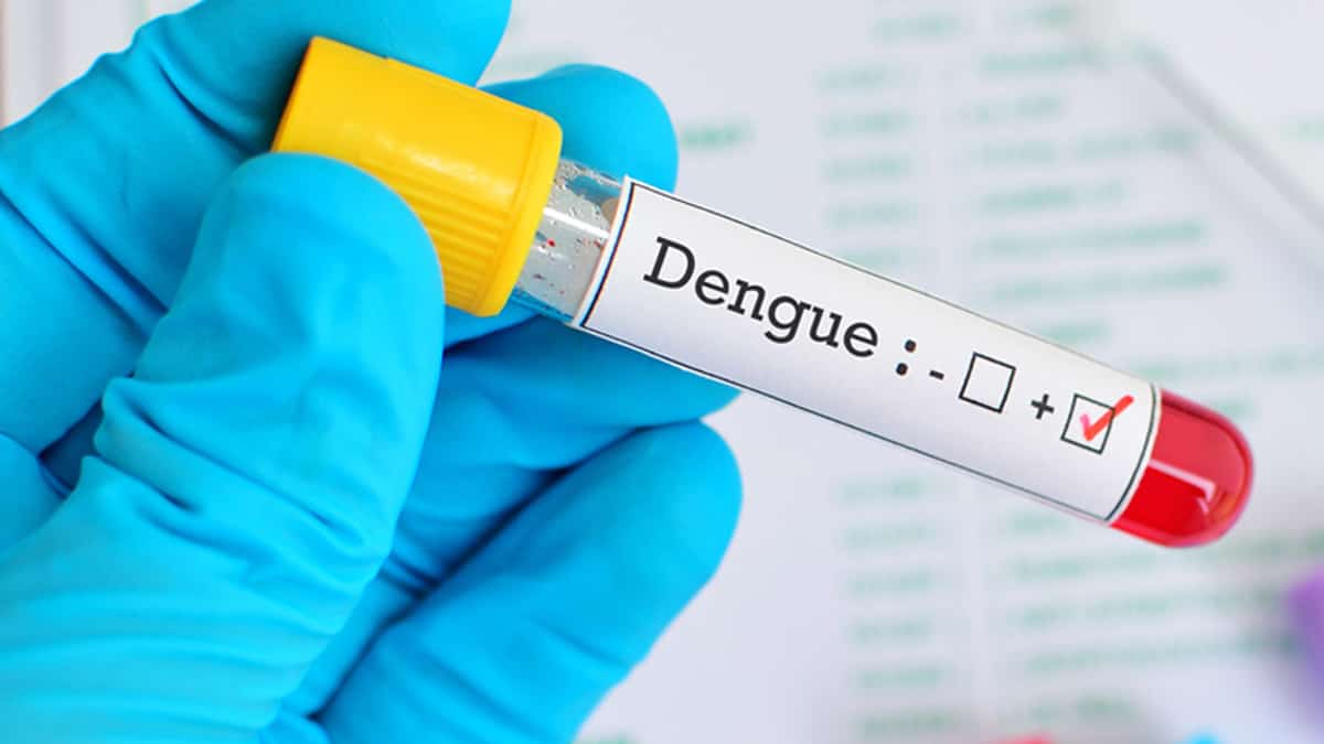 Casos de dengue têm aumento de 85% este ano; vírus se espalha pelo Sul do País