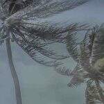 De olho no temporal: MS já registra rajadas de vento de 84 km/h com muita poeira e pouca chuva