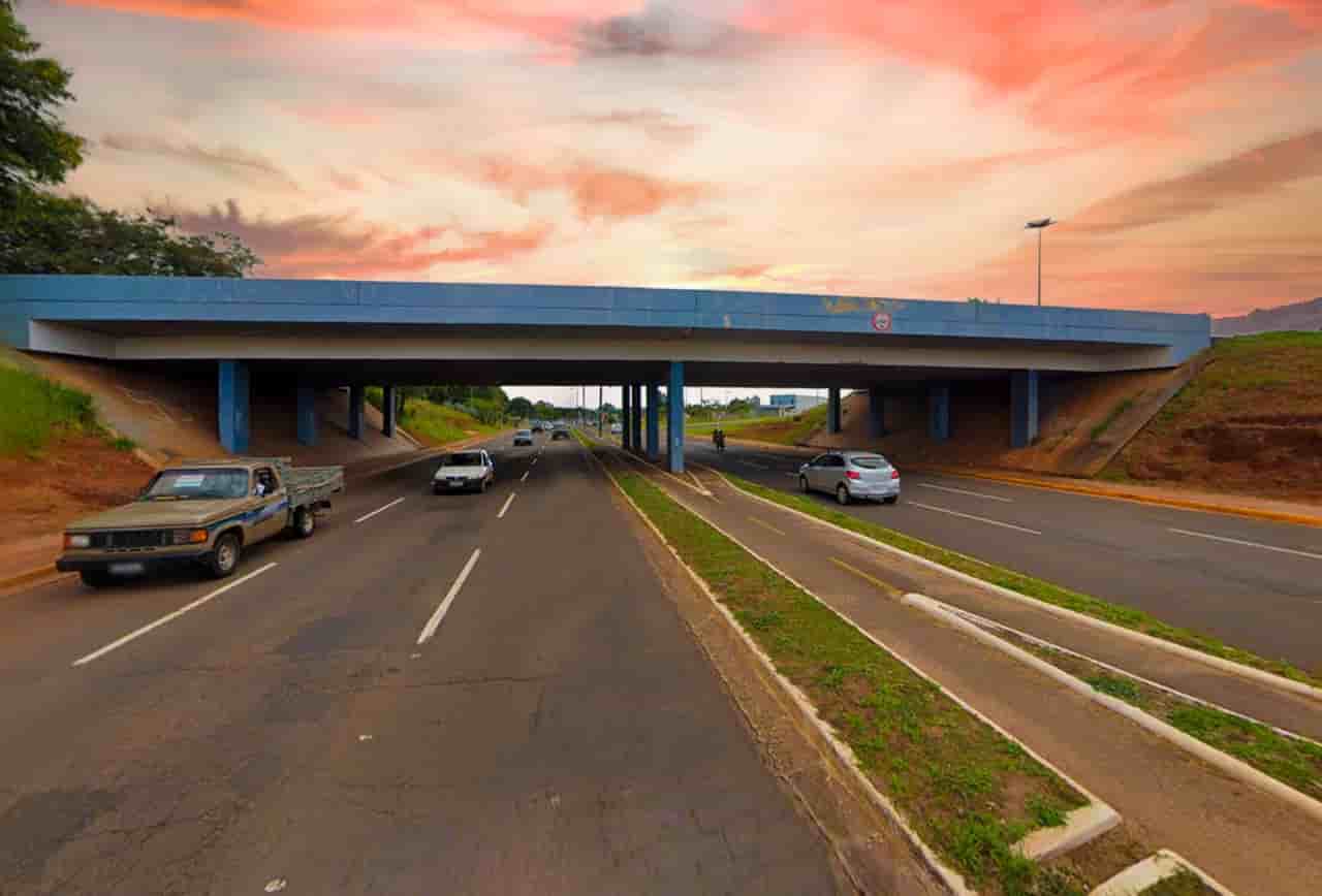 Viaduto da UFMS passa por revitalização e recebe grafite de araras