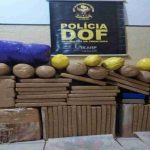 DOF apreende 119 kg de maconha avaliada em R$ 260 mil na área rural de Paranhos
