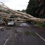 Tempestade chega em Mato Grosso do Sul e cidades já registram ventos de até 70 km/h