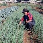 Conhecido na região das Moreninhas, locutor morre intoxicado com herbicida