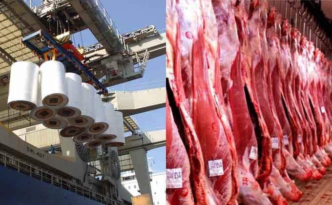 Indústria de celulose e frigorífico bovino são destaques da pauta de exportação. Foto: Divulgação