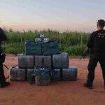 Esconderijo: Policiais voltam à pista na fronteira e encontram mais cocaína enterrada