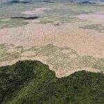 Em 3 anos de gestão Bolsonaro, Amazônia tem desmatamento ‘alarmante’, diz Ipam