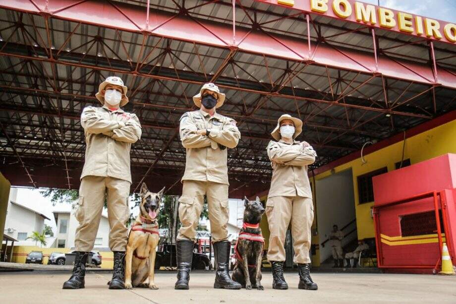 Laika e Mali fazem parte da equipe de cães do Corpo de Bombeiros de MS.