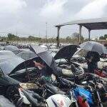 Detran-MS abre visitação para lotes de leilão de veículos para circulação, desmontagem e reciclagem