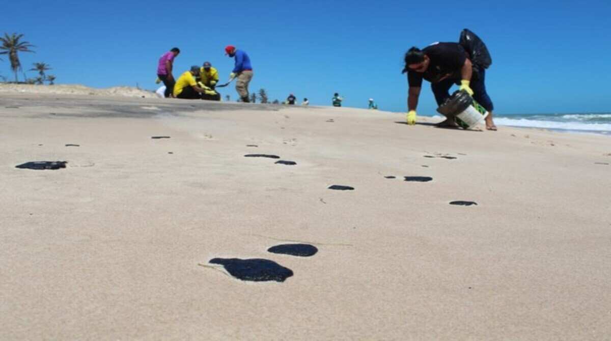 Universidades investigam manchas de óleo em praias cearenses