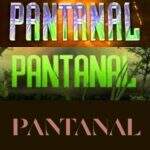 Música tema de abertura do remake de Pantanal já está definida, mas cantor ainda não foi escolhido