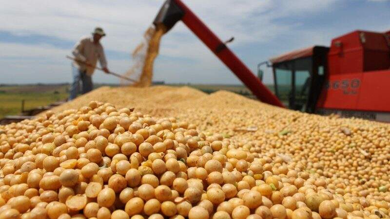 Colheita de soja em Mato Grosso do Sul