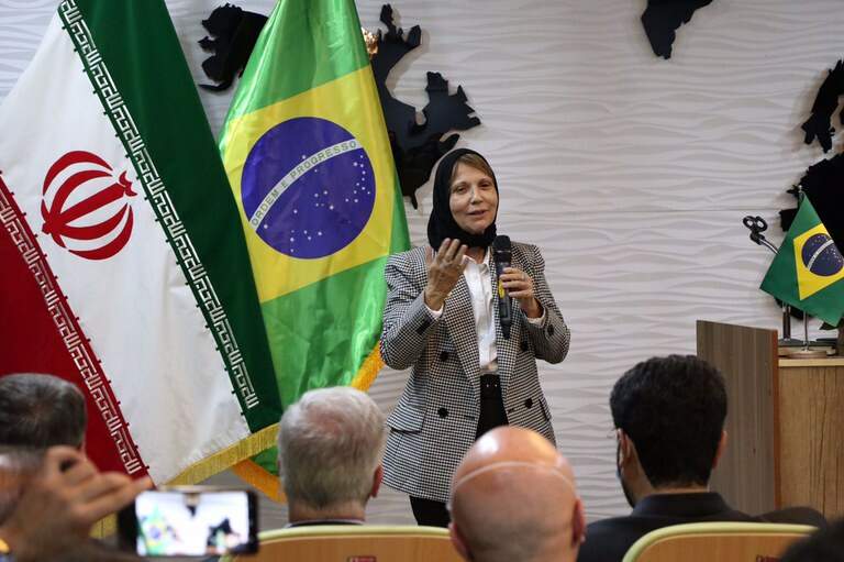 Ministra Tereza Cristina durante palestra a empresários iranianos