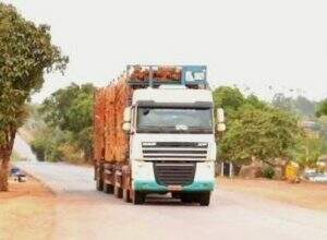 A transportadora foi contratada para fornecer mão de obra e veículos de transporte de eucalipto das áreas de floresta até a área industrial