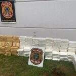 Polícia Federal apreende 257,4 quilos de cocaína em abordagem a caminhão de soja em MS
