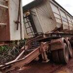 VÍDEO: Por 3 dias, onças rodeiam caminhão atolado no Pantanal e motorista se esconde na cabine