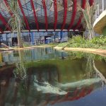 Contratos de manutenção do Aquário do Pantanal foram publicados no Diário do Estado
