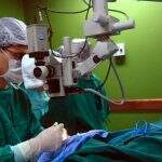 Conselho Federal de Medicina regulamenta a cirurgia robótica