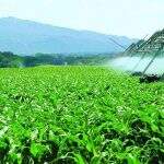 Além do Canadá, Bolívia pode ser alternativa para suprir fertilizantes da Rússia em MS