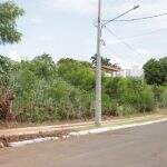 ‘Dono de matagal’ diz que vai limpar terreno em área nobre de Campo Grande, mas não cumpre combinado