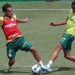 Palmeiras faz treino com Gustavo Scarpa no gramado antes da decisão da Recopa