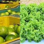Limão mais barato, alface mais cara: confira o sobe e desce de preços de hortifrútis em MS