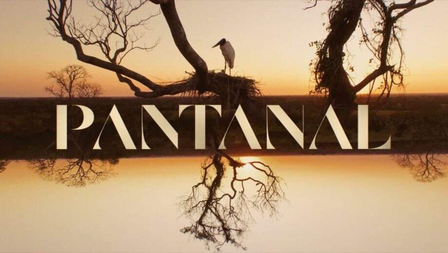 pantanal