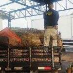 Dois são presos pela PRF com maconha escondida em carga de abacaxis
