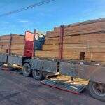 Empresa é multada em R$ 14 mil por transporte de carga de madeira ilegal