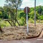 Diferente de áreas nobres, matagal em periferias de Campo Grande é relato de abandono de moradores