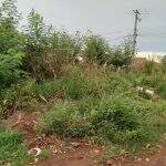 Terreno baldio no bairro Parque do Lageado acumula sujeira e moradora reclama: ‘Um verdadeiro lixão’