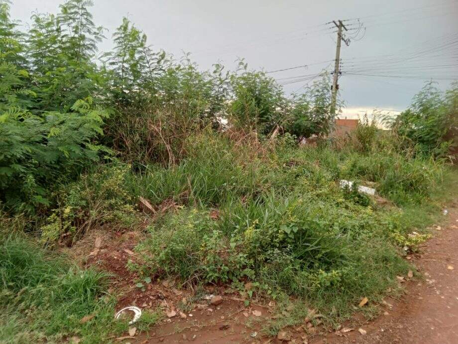 Terreno baldio no bairro Parque do Lageado acumula sujeira e moradora reclama: 'Um verdadeiro lixão'