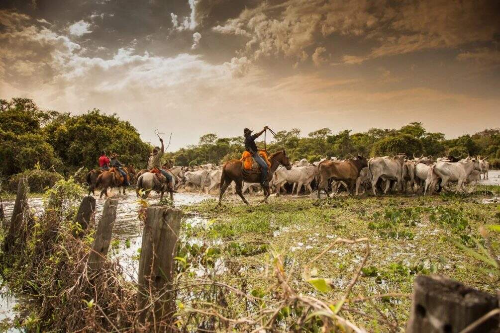 Pantanal