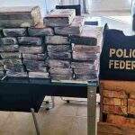 Operação da PF cumpre mandados contra tráfico internacional de cocaína