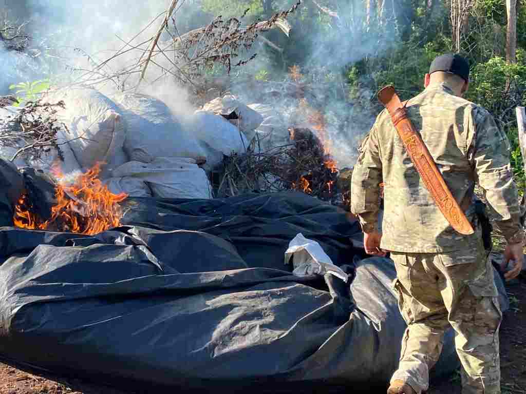 Com novas investidas em fazendas na fronteira, polícia destrói 30 toneladas de maconha
