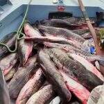 Paraguaios são presos em flagrante com 170 kg de pesca no Pantanal