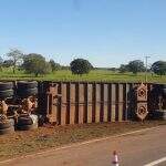 VÍDEO: Caminhão tomba e gado fica às margens de rodovia em Coxim