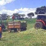 Agraer-MS recebe 363 máquinas agrícolas para distribuir a cidades de MS